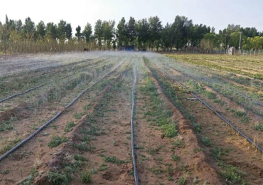 progetto dimostrativo di irrigazione di terreni agricoli nello shaanxi .settentrionale